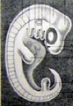 embryo diagram by Haeckel
